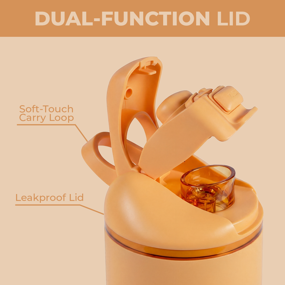 marigold-o4 Ease24-Marigold-WPI-6.png