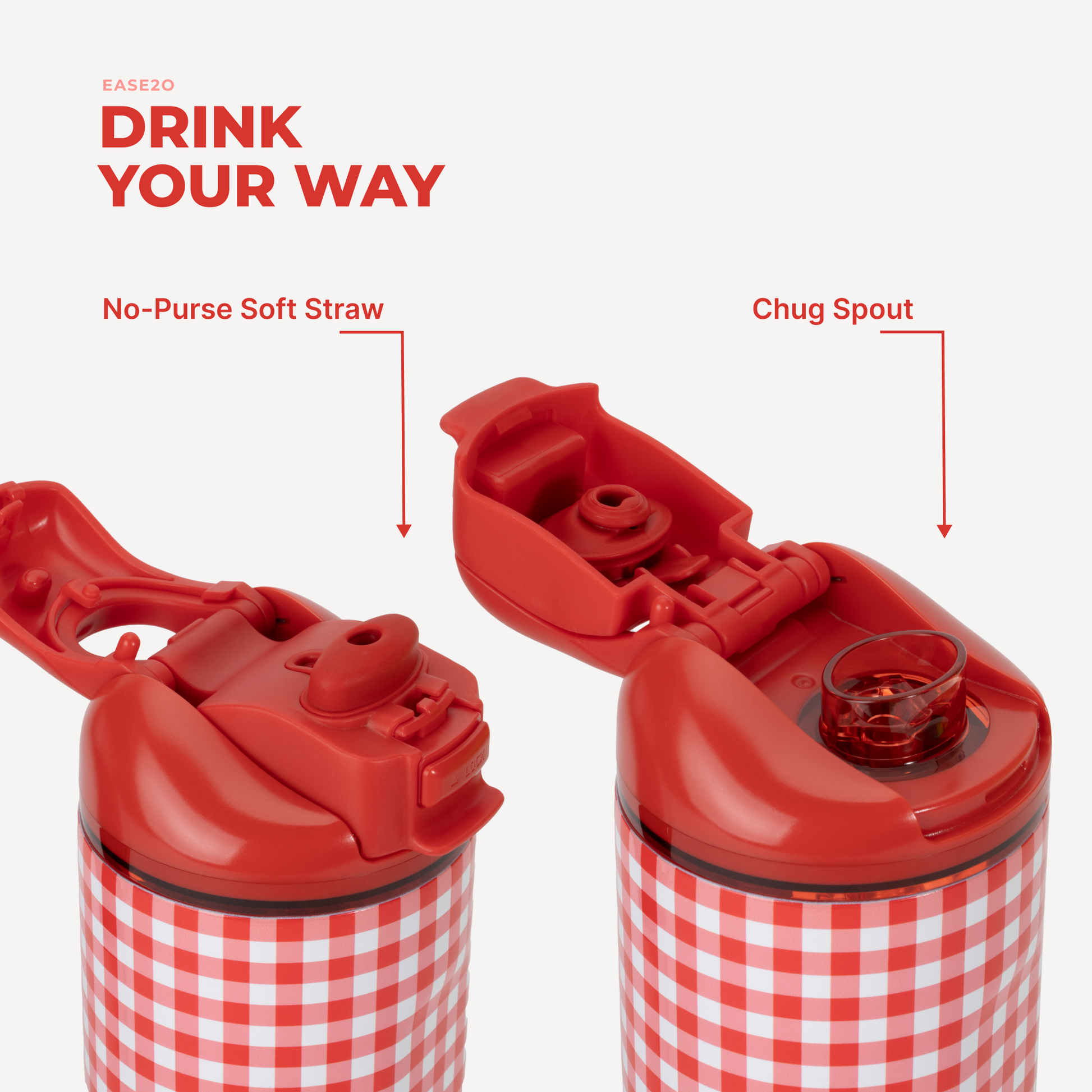 summer-picnic-r1 Ease14-SummerPicnic-3WPI.png
