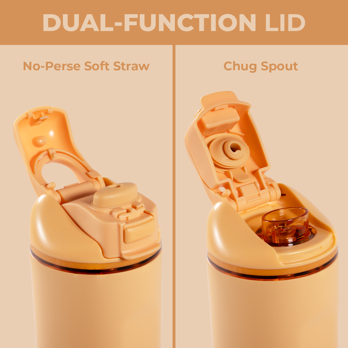 marigold-o4 Ease24-Marigold-WPI-5.png